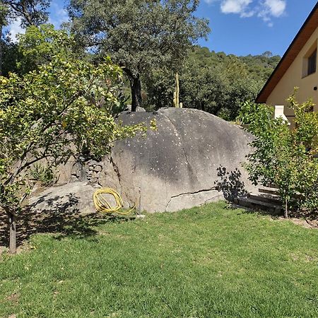 Willa Casa Feliz Sant Cebrià de Vallalta Zewnętrze zdjęcie