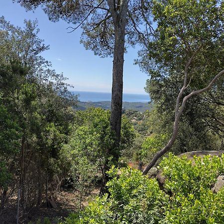 Willa Casa Feliz Sant Cebrià de Vallalta Zewnętrze zdjęcie