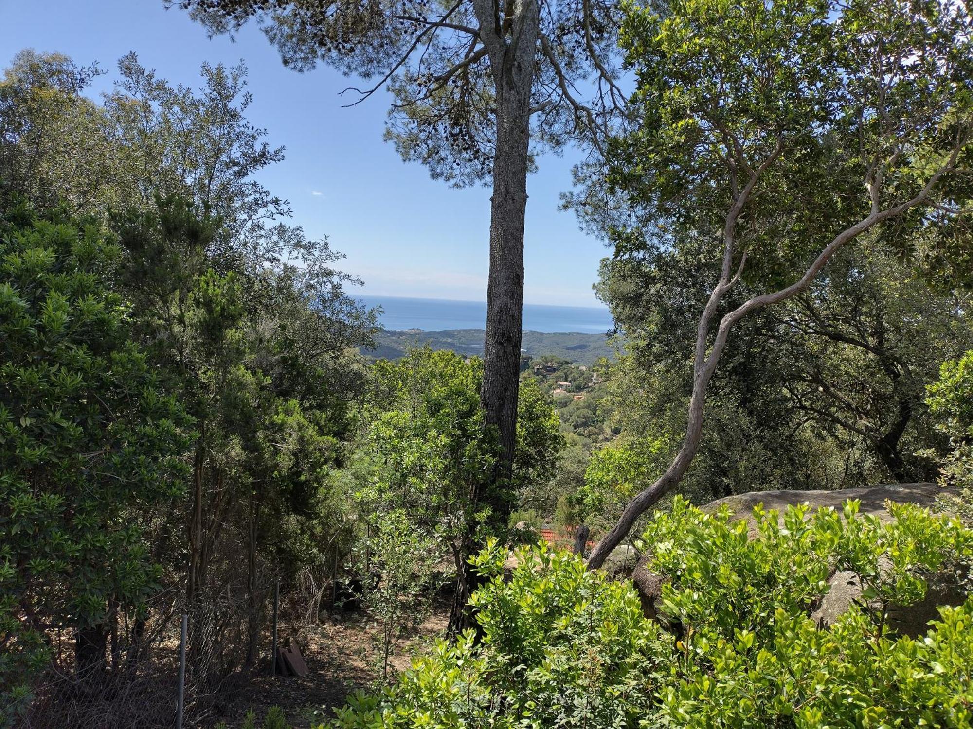 Willa Casa Feliz Sant Cebrià de Vallalta Zewnętrze zdjęcie