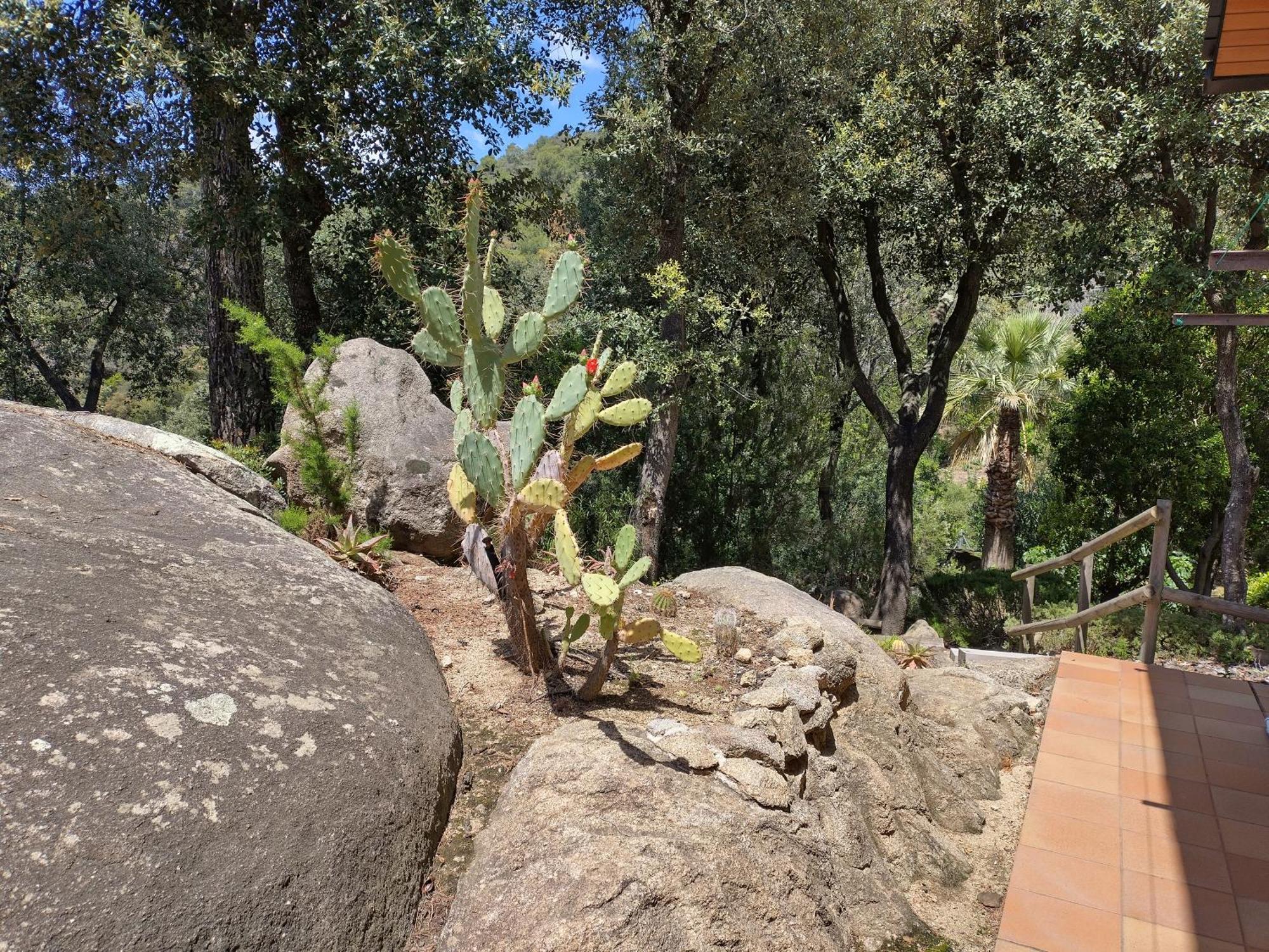 Willa Casa Feliz Sant Cebrià de Vallalta Zewnętrze zdjęcie
