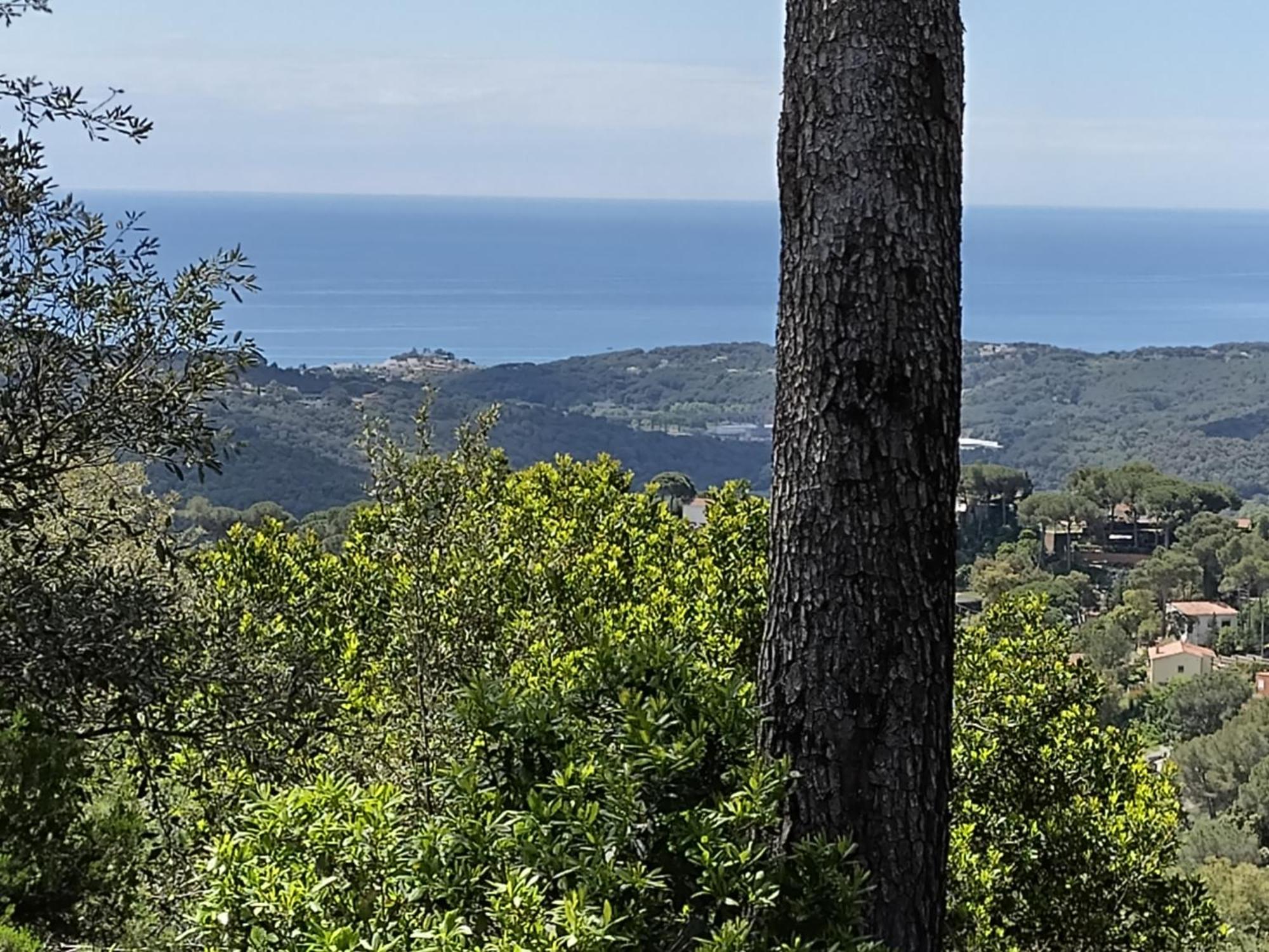 Willa Casa Feliz Sant Cebrià de Vallalta Zewnętrze zdjęcie